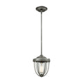 Sturgis 1 Light Pendant Weathered Zinc