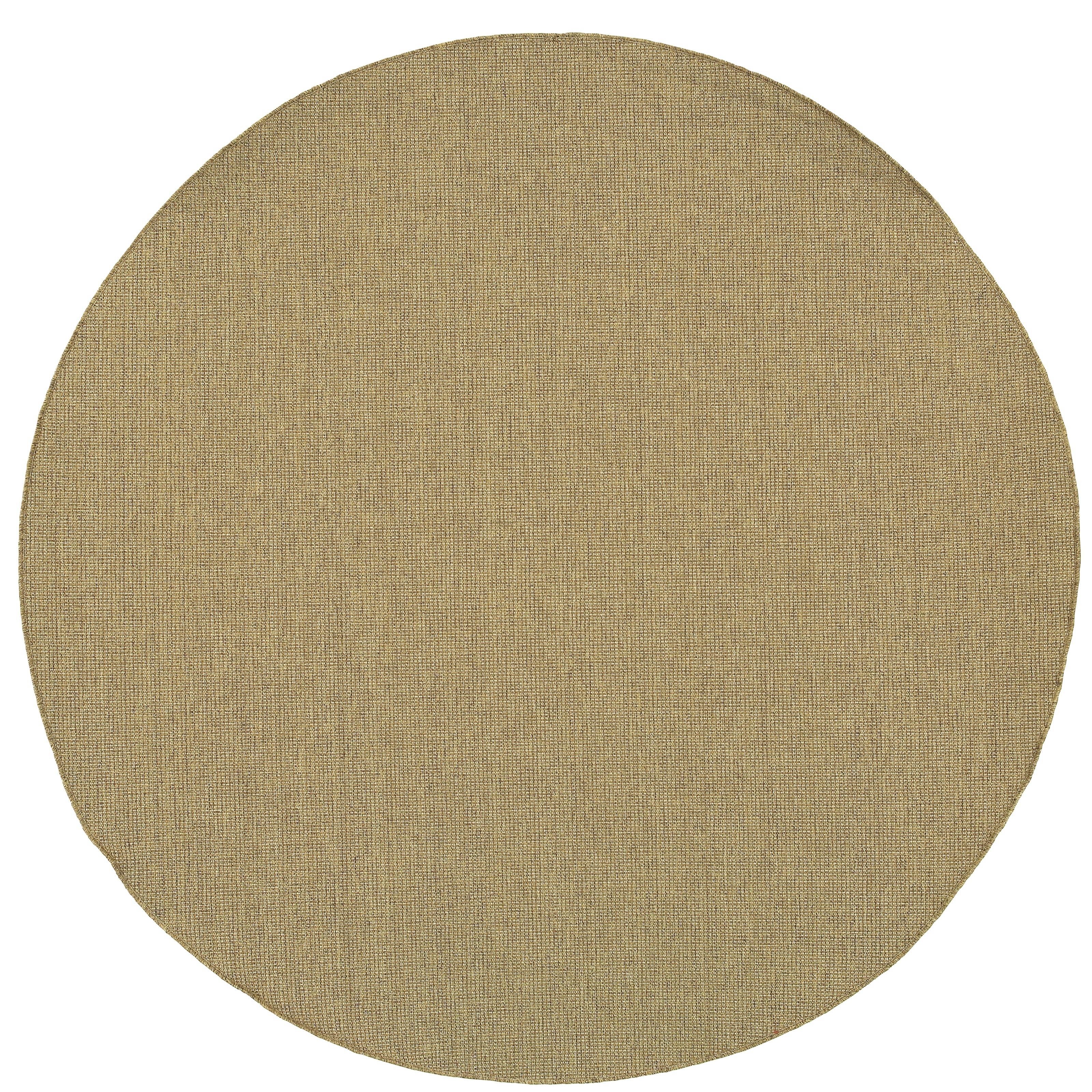 Outdoor Indoor Tan Area Rug