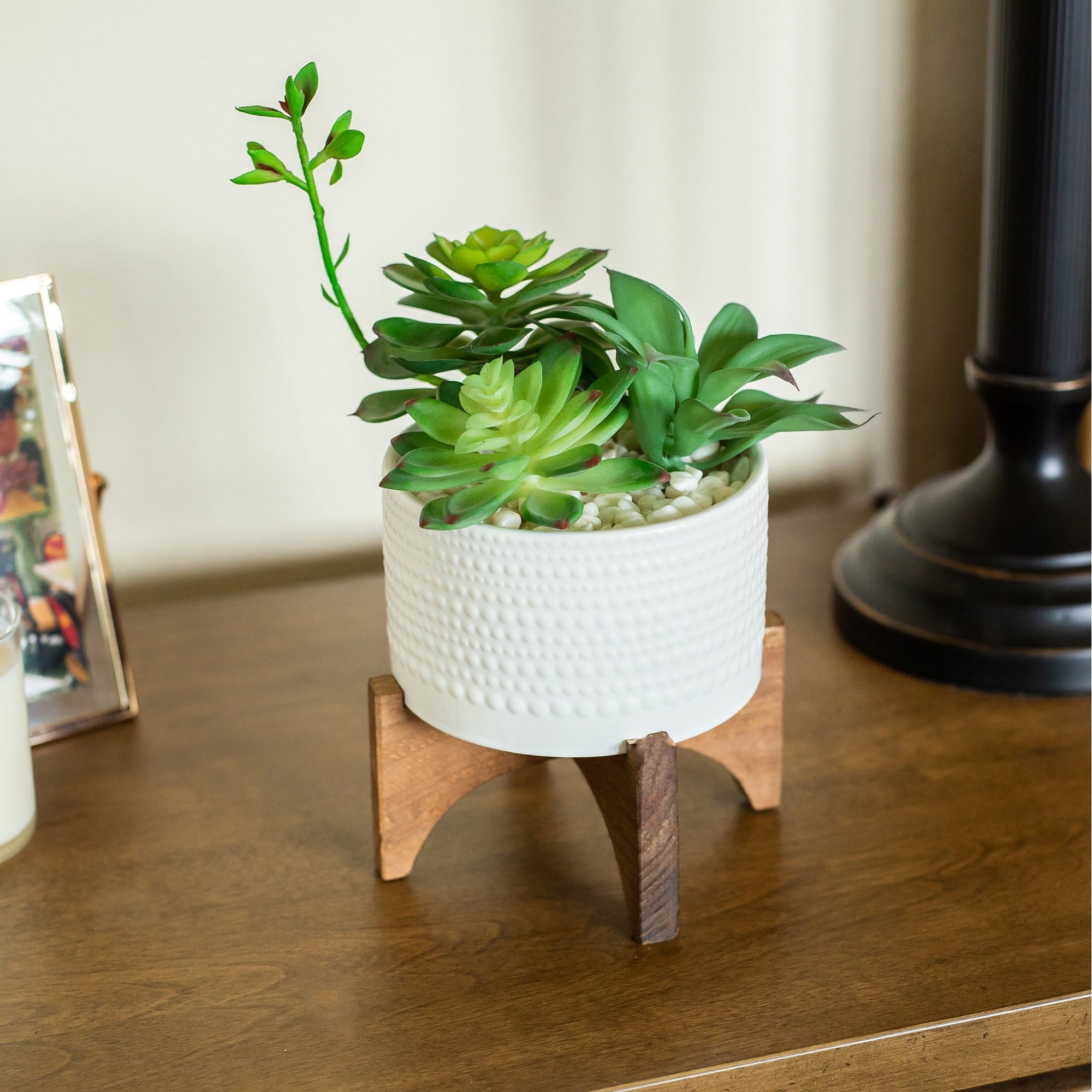 Succulent Mix In 5 White Ceramic Hobnail Planter On Wood Stand One Size