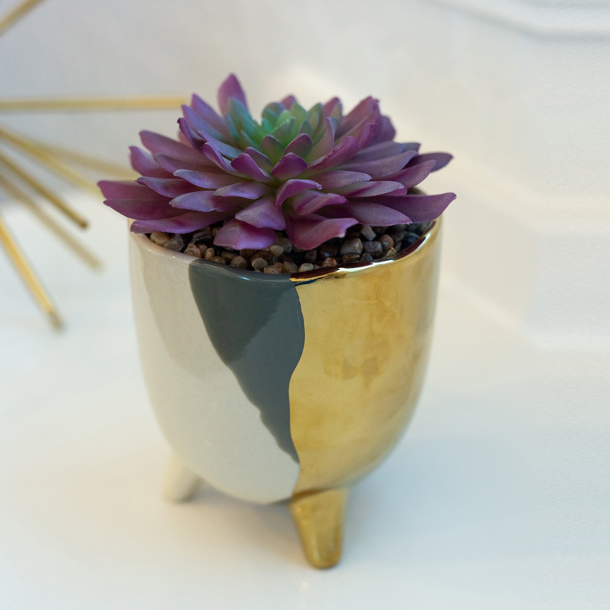 Succulent In 5 3 Tone Footed Ceramic Grey One Size