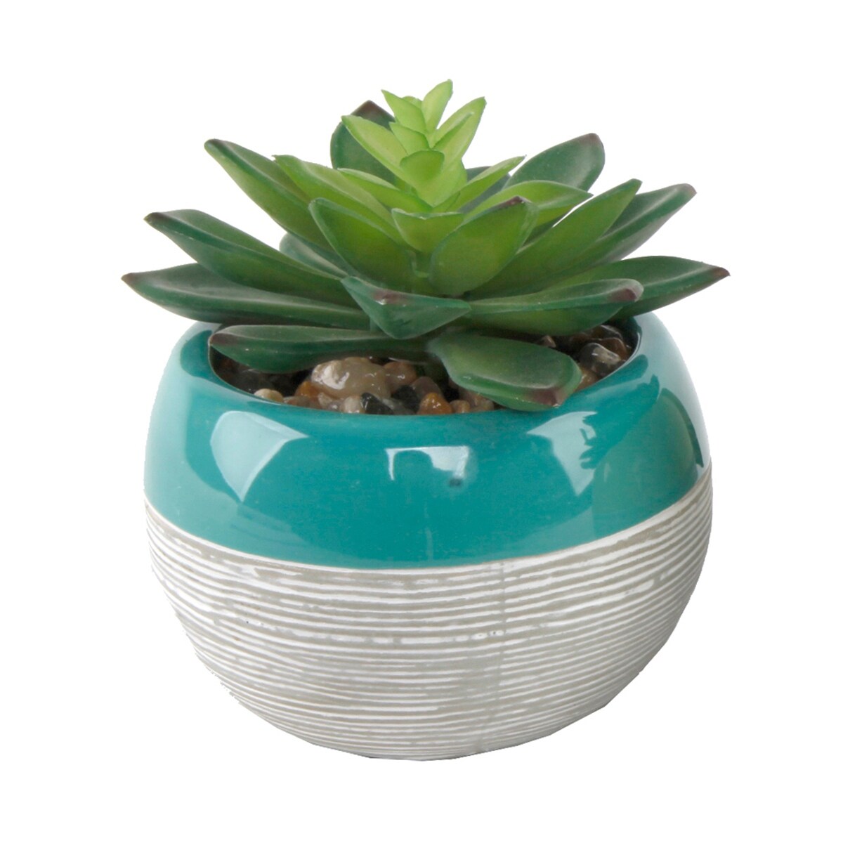 Succulent In Two Tone Lines Pattern Ceramic Pot Teal One Size