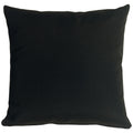 Pillow D Cor Sunbrella Black 20X20 Outdoor Pillow