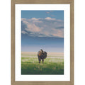 Sunlight Bison By Annie Bailey Art Wood Framed Wall Art Print Woodgrain Stripe Mocha