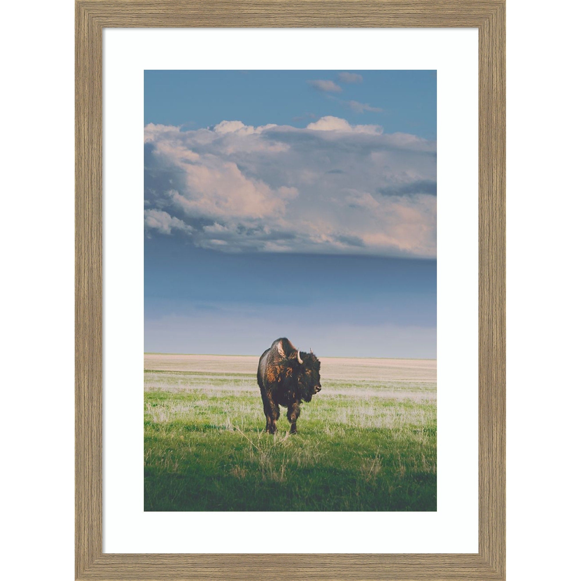 Sunlight Bison By Annie Bailey Art Wood Framed Wall Art Print Woodgrain Stripe Mocha