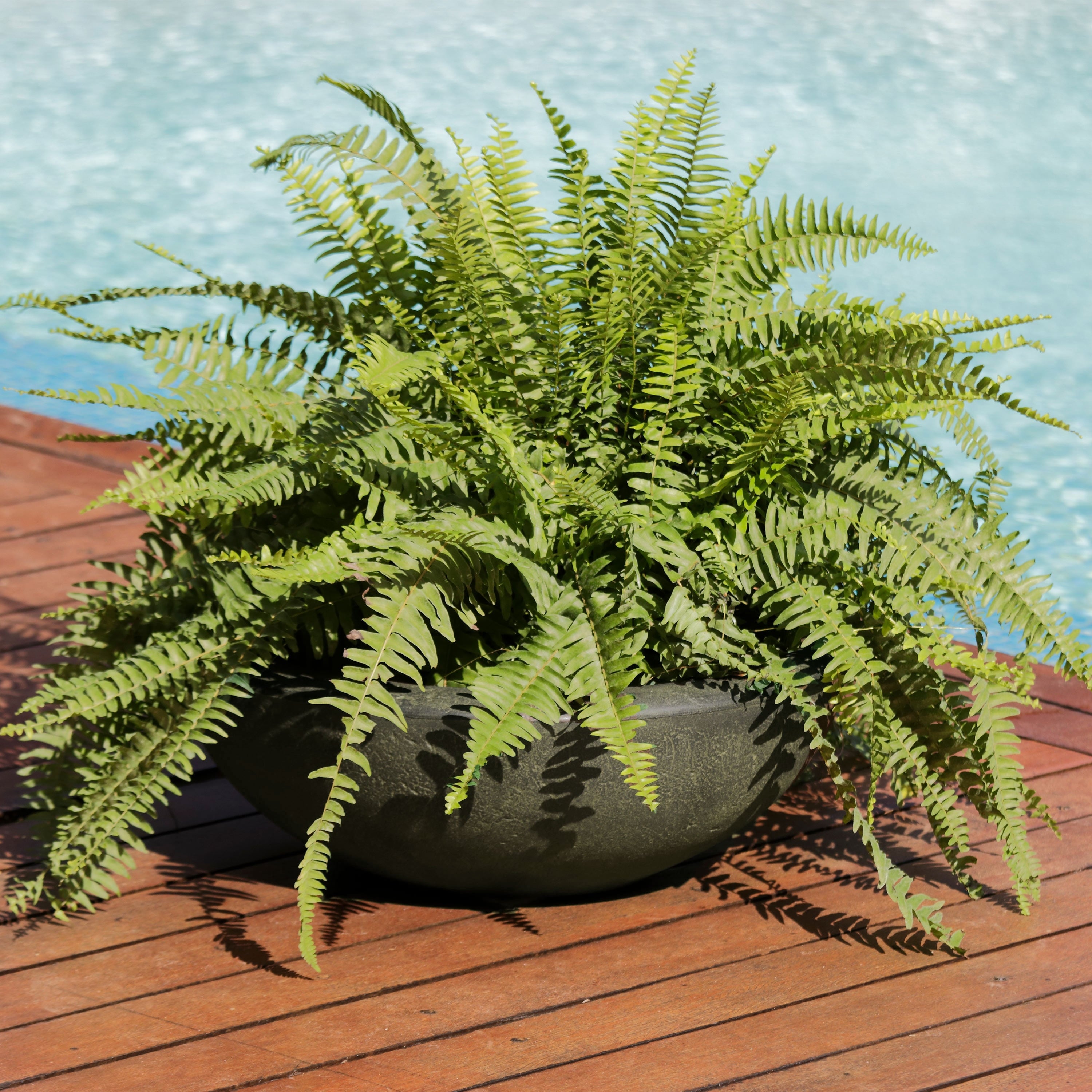 Sunnydaze Percival Outdoor Flower Pot Planter Sable Finish 21 Inch 2 Pack