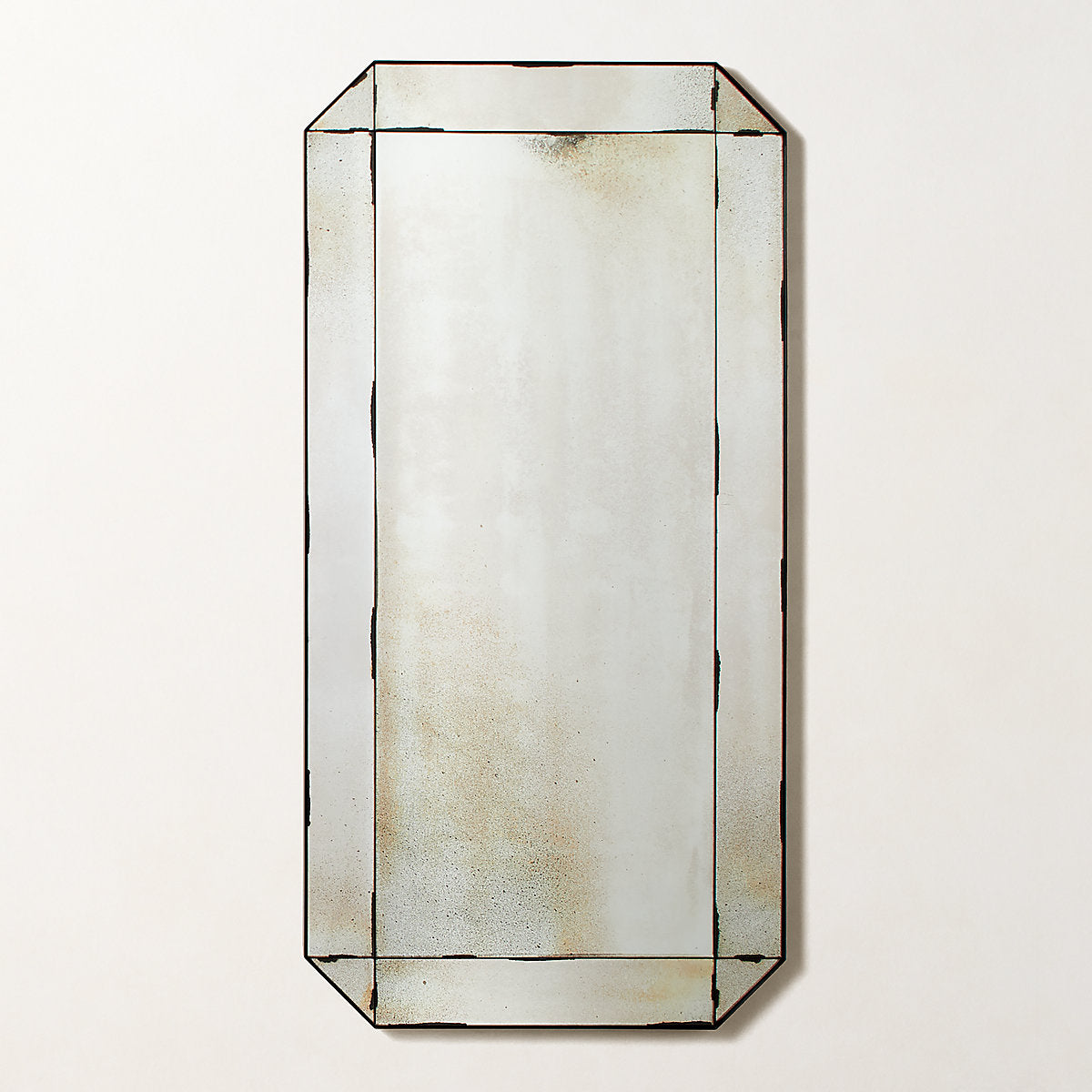Sureau Antiqued Black Full-Length Floor Mirror 48''x72''