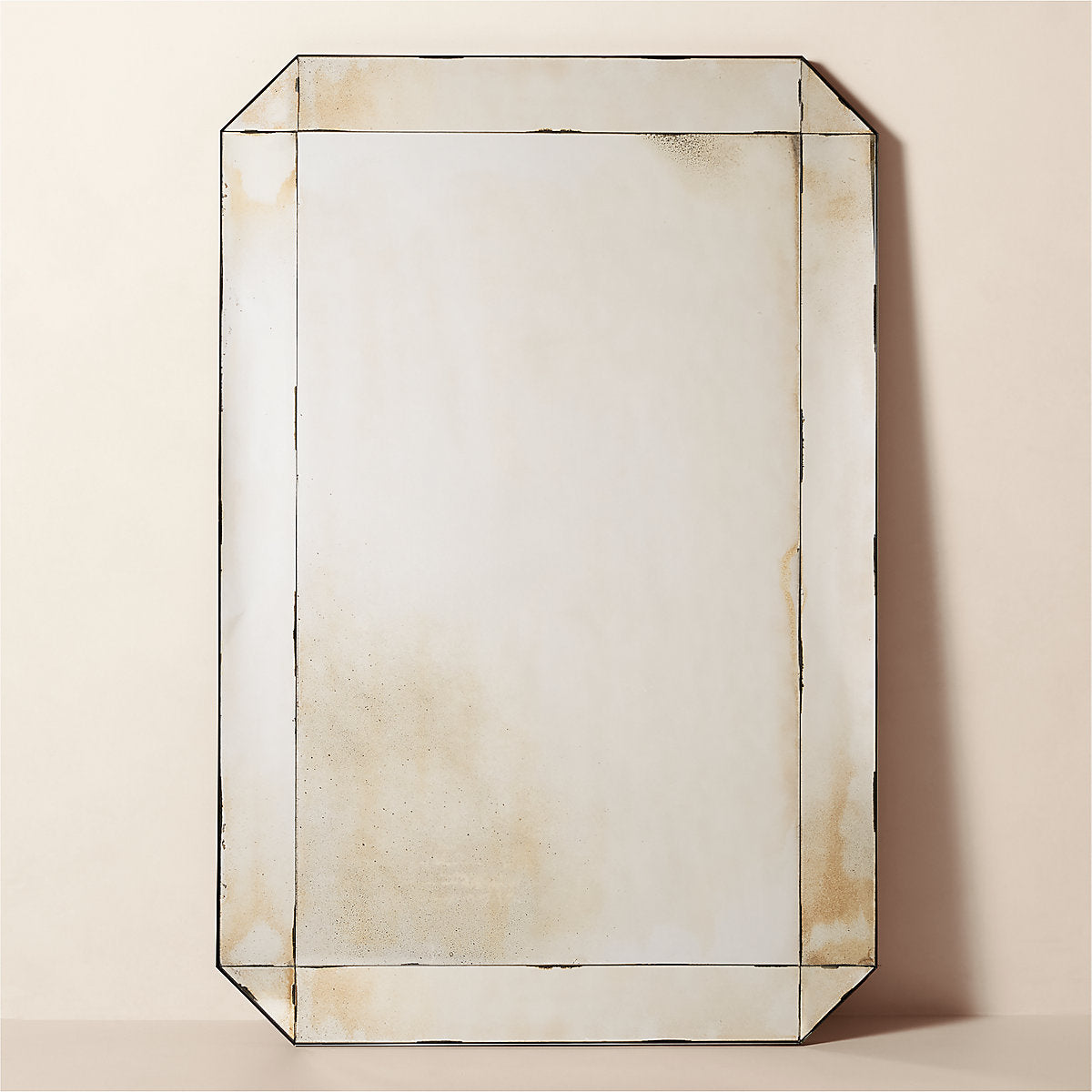 Sureau Antiqued Black Rectangular Wall Mirror 24x48