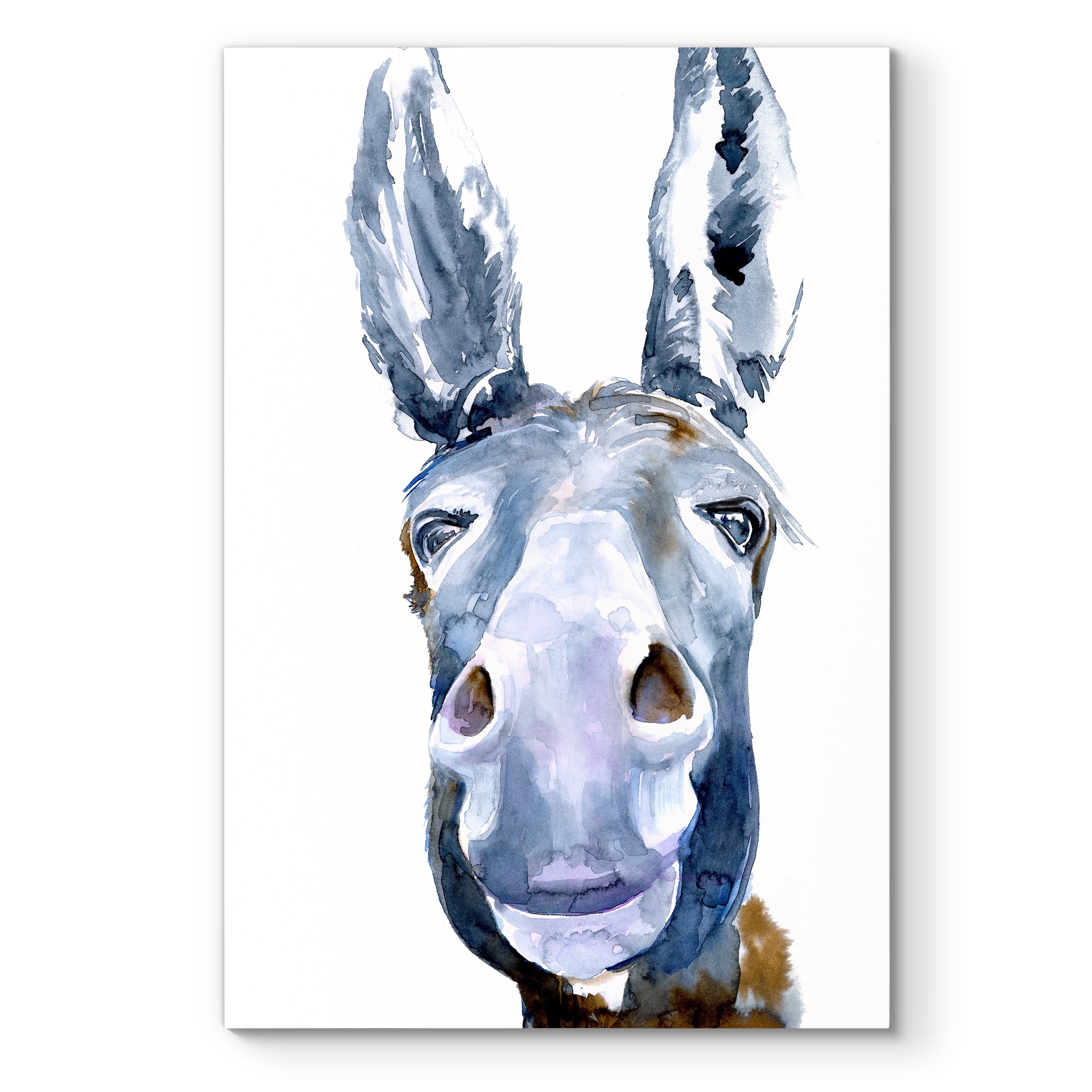 Sweet Donkey I Premium Gallery Wrapped Canvas