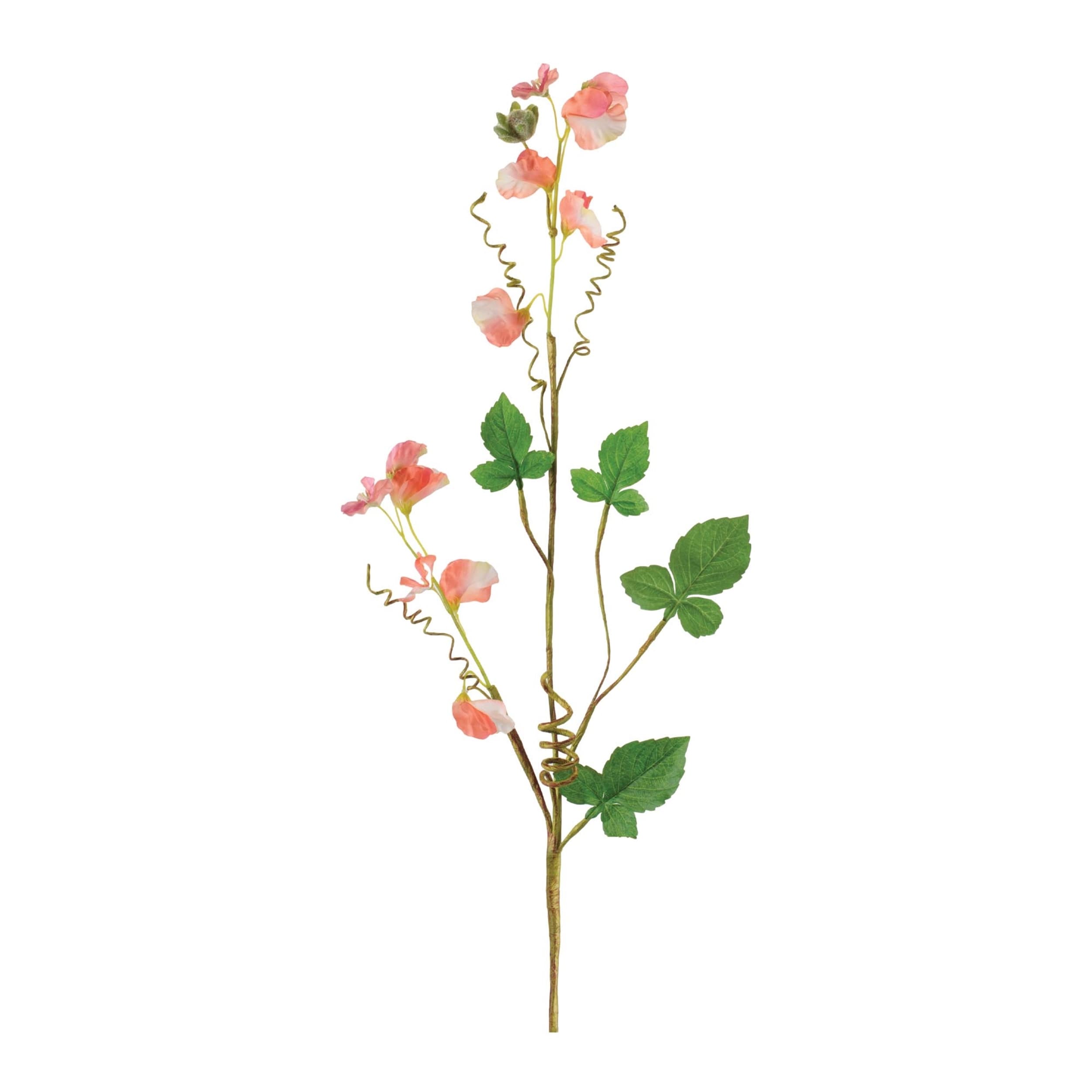 Sweet Pea Floral Spray Set Of 6
