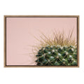 Sylvie Botanical Cactus Framed Canvas Wall Art Gold 18 X 24