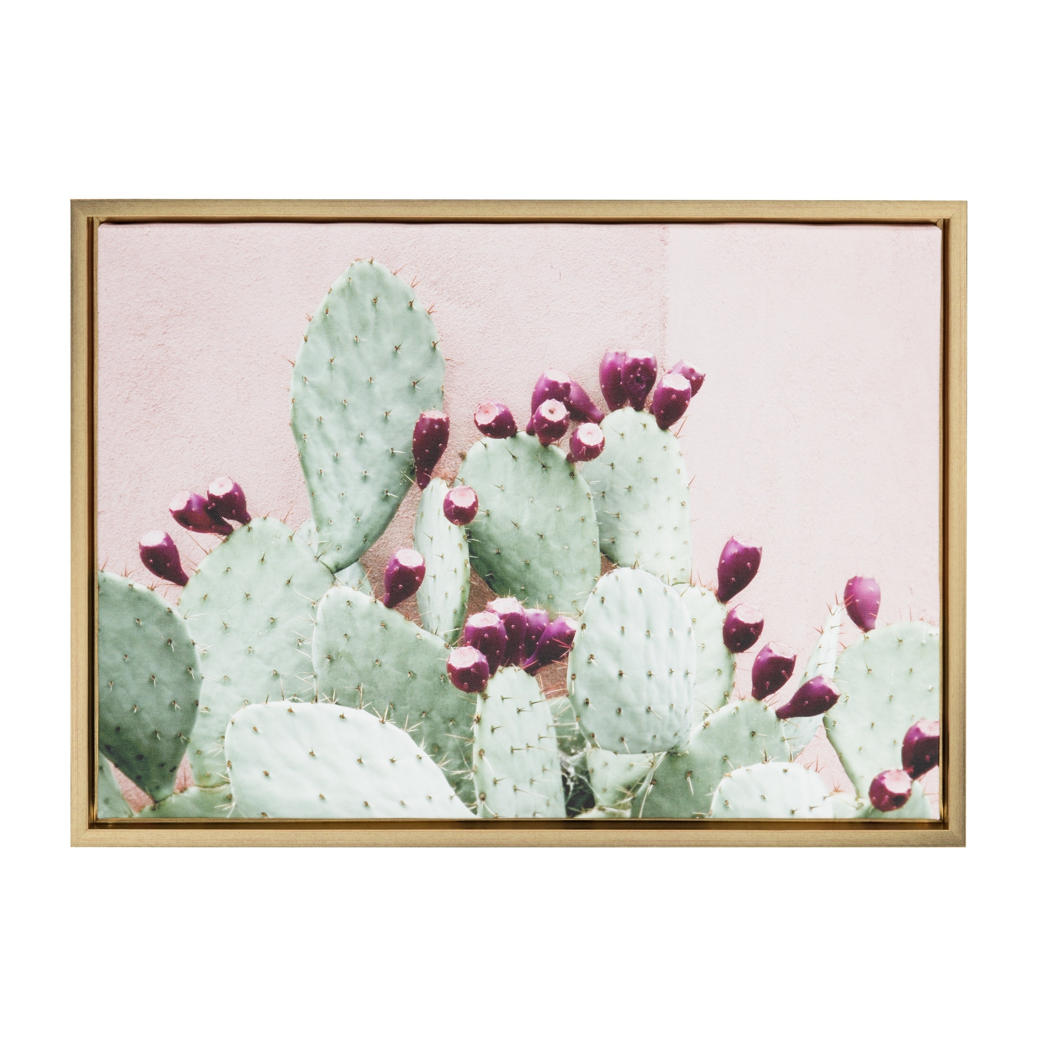 Sylvie Cactus 25 Gold Framed Canvas Wall Art By Amy Peterson 18X24