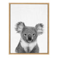 Sylvie Koala Bear Portrait Framed Canvas Wall Art Natural 18X24