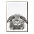Sylvie Rabbit Framed Canvas Wall Art By Simon Te Tai Gray 23X33