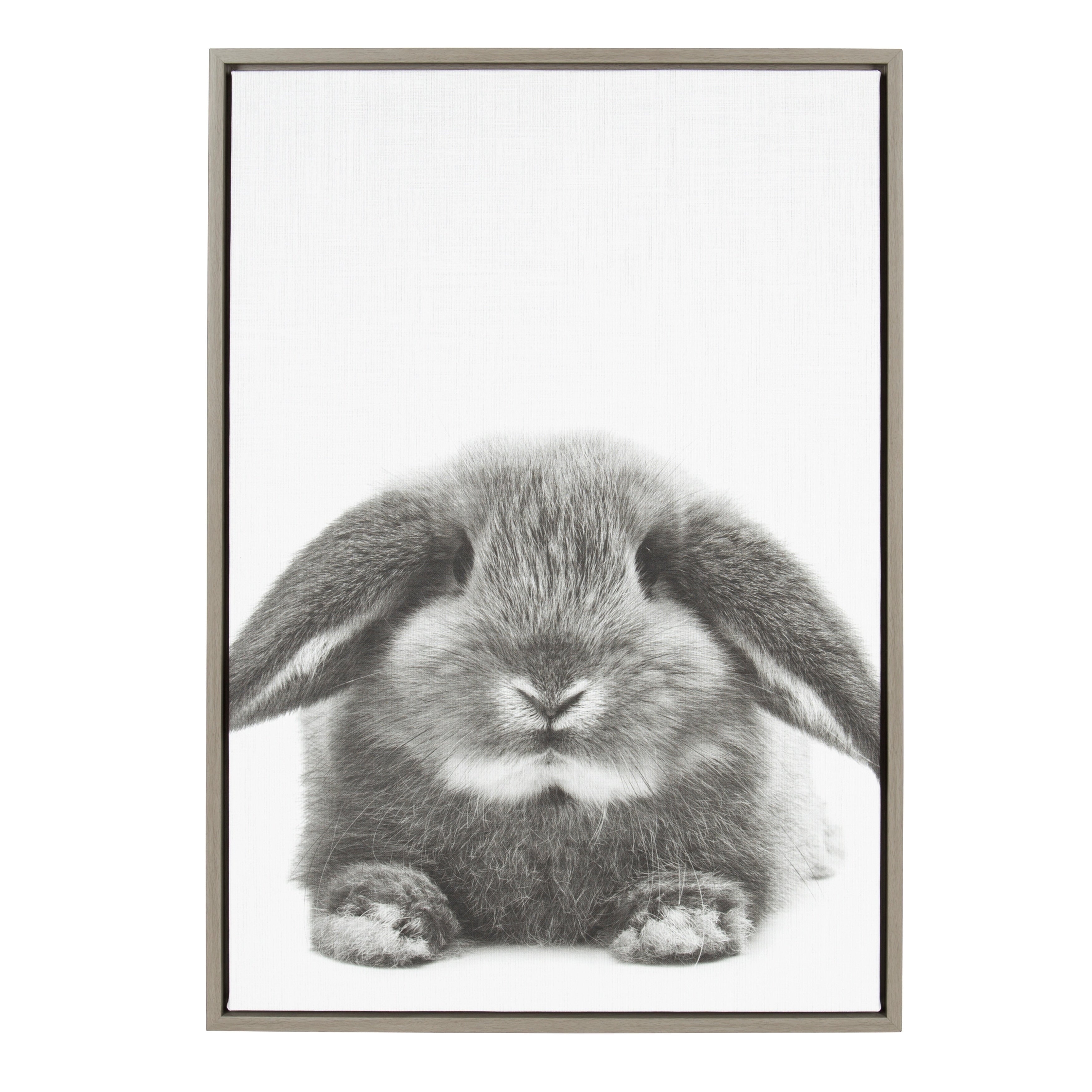 Sylvie Rabbit Framed Canvas Wall Art By Simon Te Tai Gray 23X33