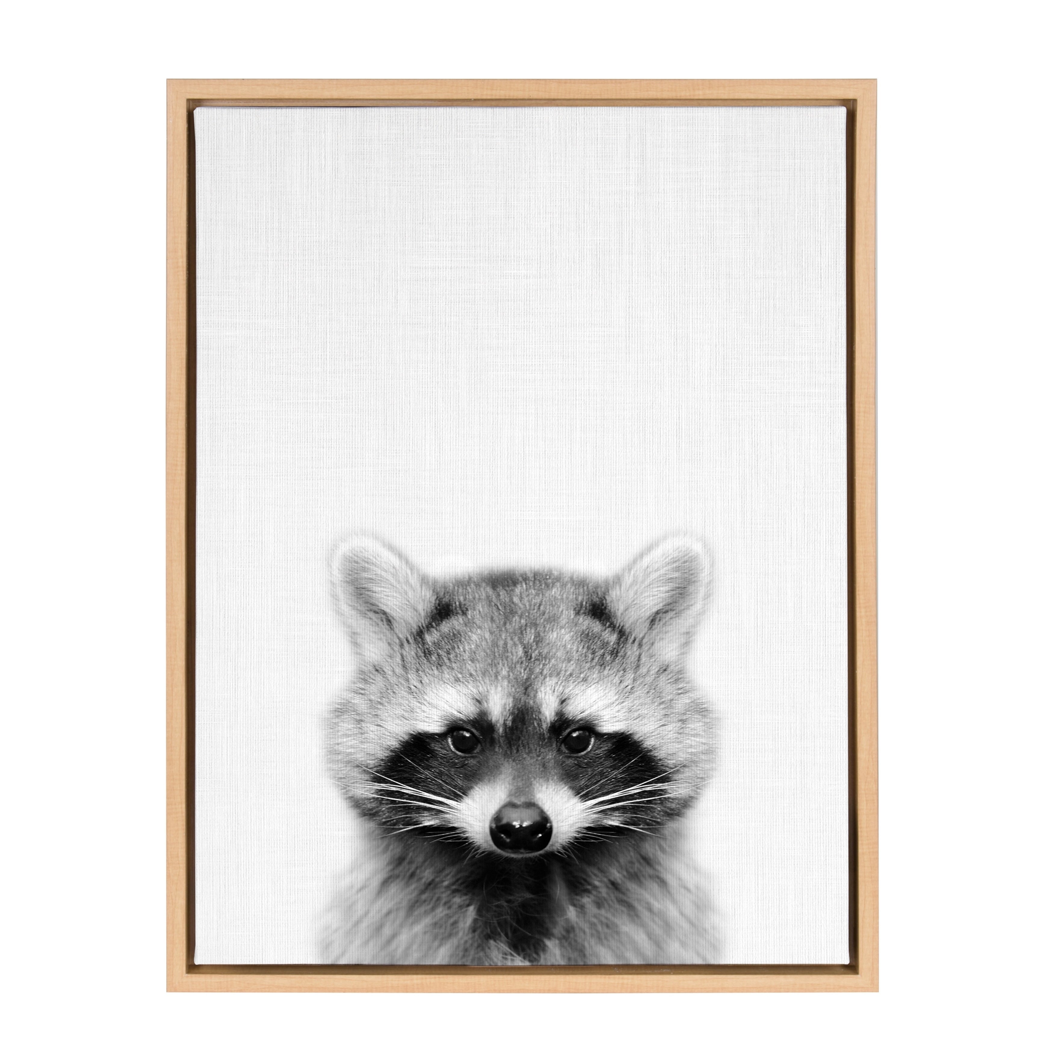 Sylvie Raccoon Portrait Framed Canvas Art Natural 18X24