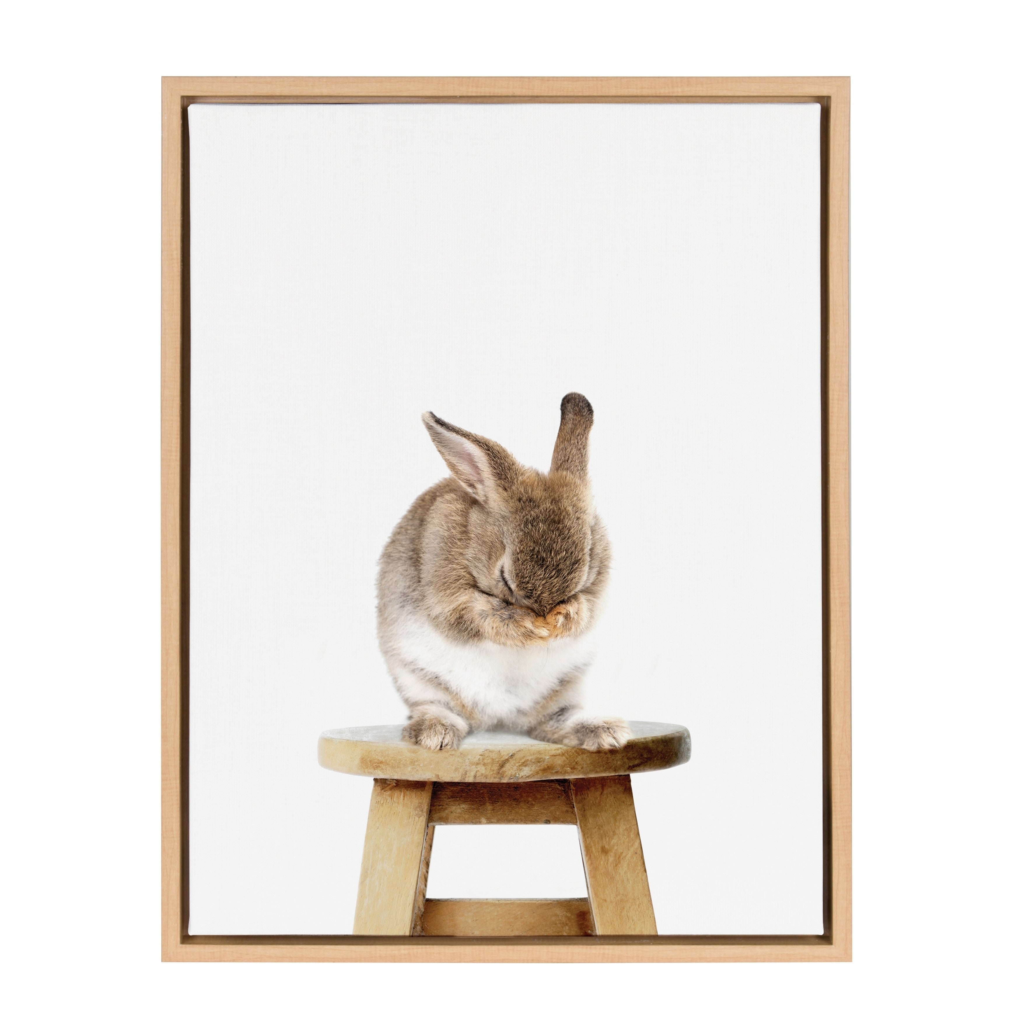 Sylvie Shy Bunny Rabbit Animal Print Framed Canvas Art By Amy Peterson