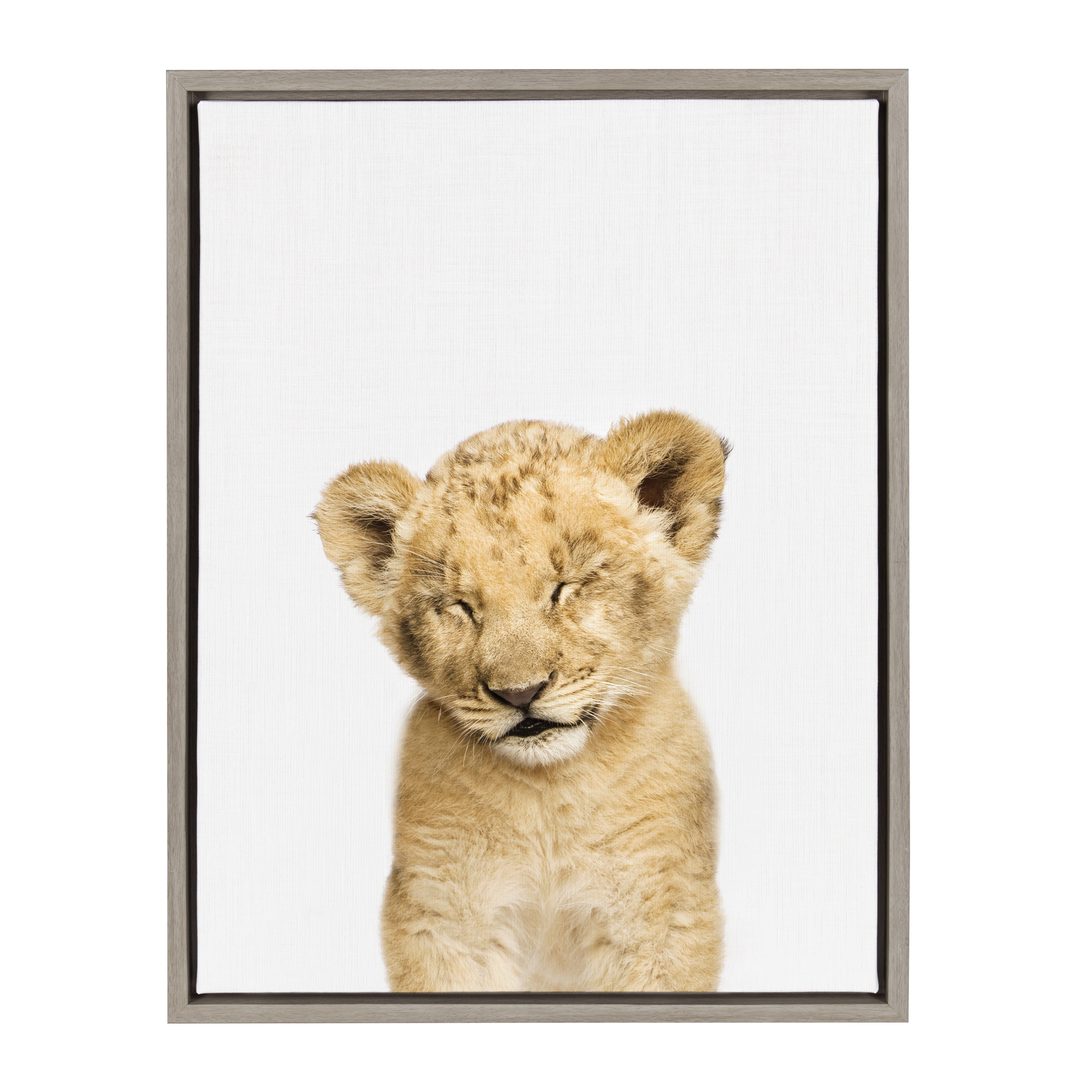 Sylvie Sleepy Baby Lion Animal Print Framed Canvas Art By Amy Peterson