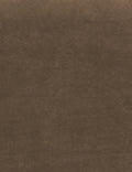 Toffee Velvet Swatch