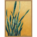 Tangled Sansevieria By Susy Boyer Framed Canvas Wall Art Print
