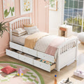 Taylor Olive Freesia Twin Size Storage Bed