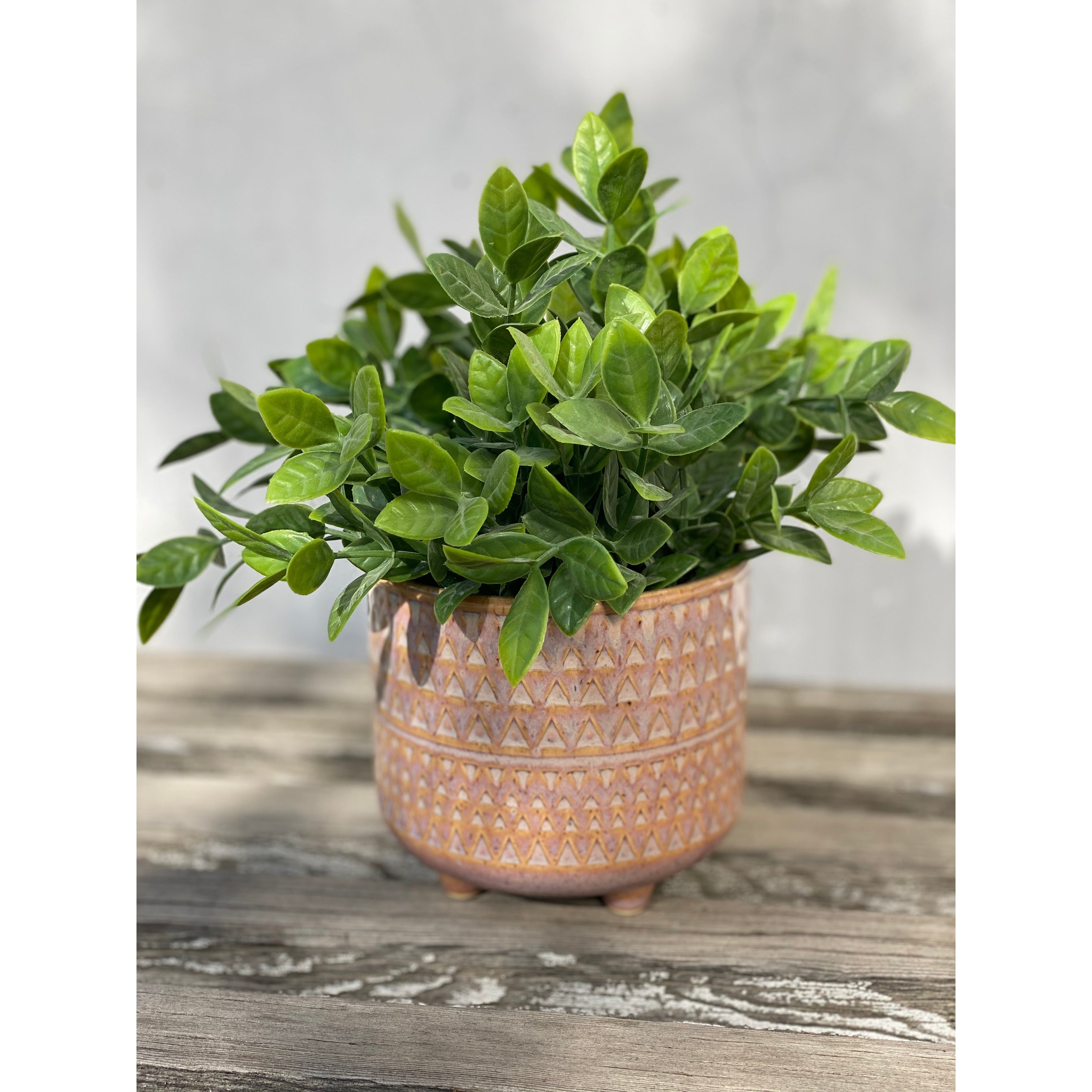 Tea Leaf In 5 Mauve Pharaoh Footed Pot One Size