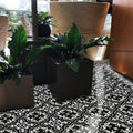Temara In Black And White Handmade 8X8 In Moroccan Tiles Pack 12