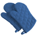Terry Ovenmitt Blueberry S 2