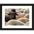 The Black Sheep By Lucia Heffernan Wood Framed Wall Art Print