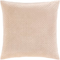 The Curated Nomad Sawyer Velvet Stitched 22 Inch Throw Pillow With Poly Or Down Fill