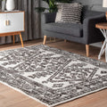 Nuloom Transitional Fading Mayen Cruz Andina Geo Border Print Area Rug