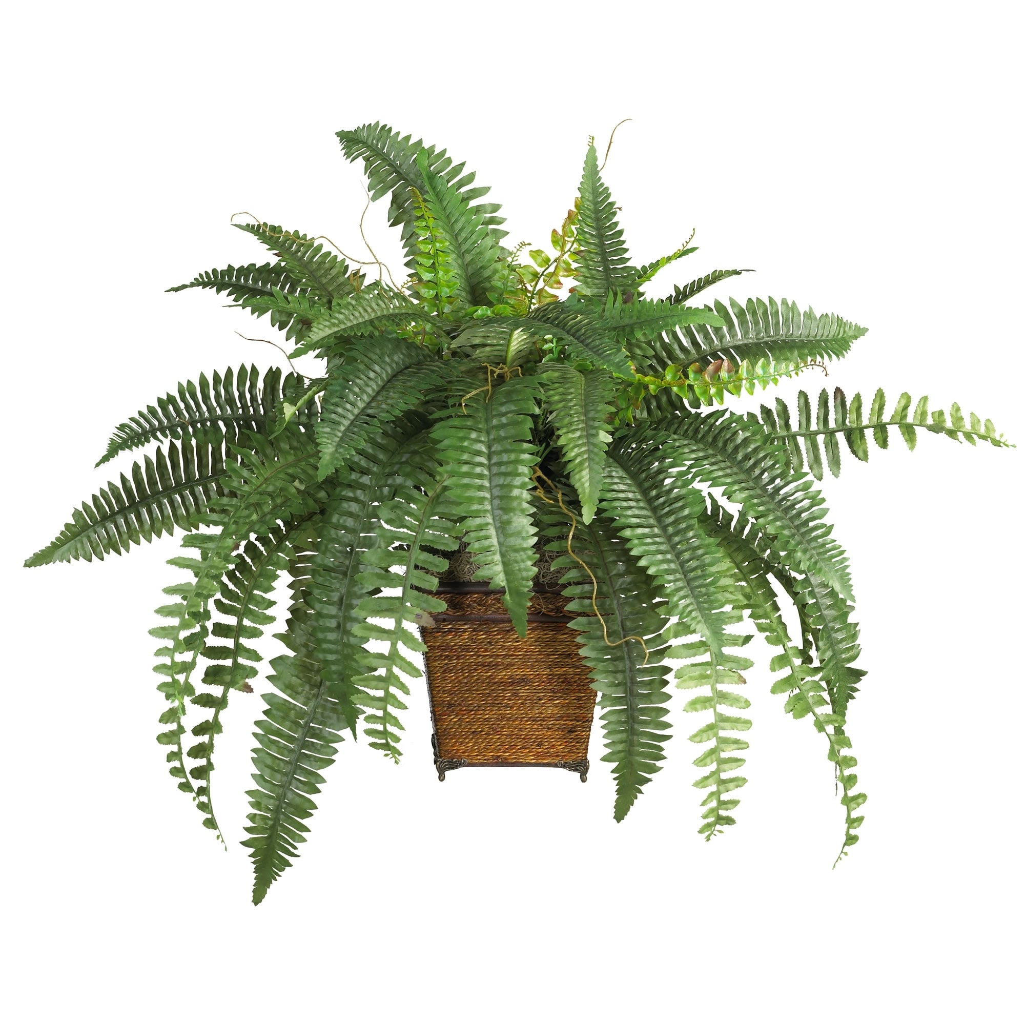 The Curated Nomad Zaius Silk Boston Fern With Wood Wicker Basket