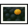 The Yellow Umbrella By Paulo Medeiros Wood Framed Wall Art Print Svelte Noir Black