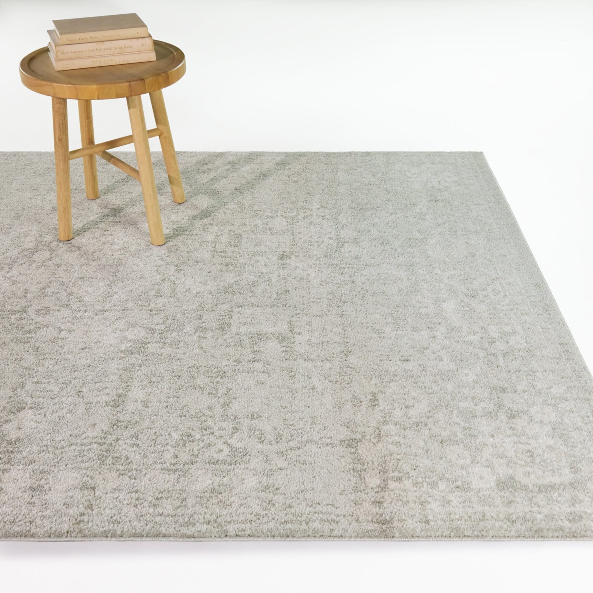 Thornhill Distressed Traditional Area Rug