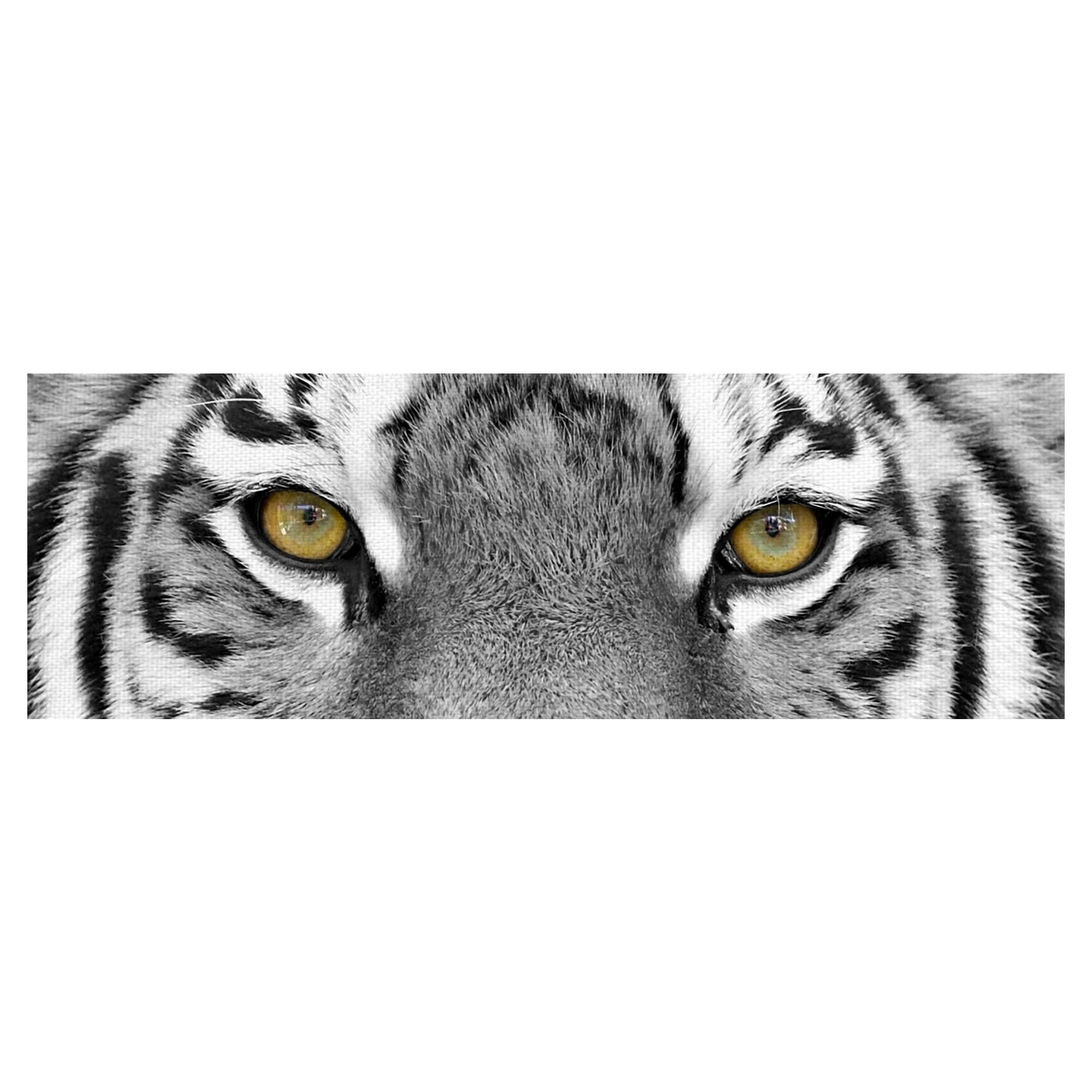 Tiger Eyes By Photoinc Studio Wrapped Canvas Art Print
