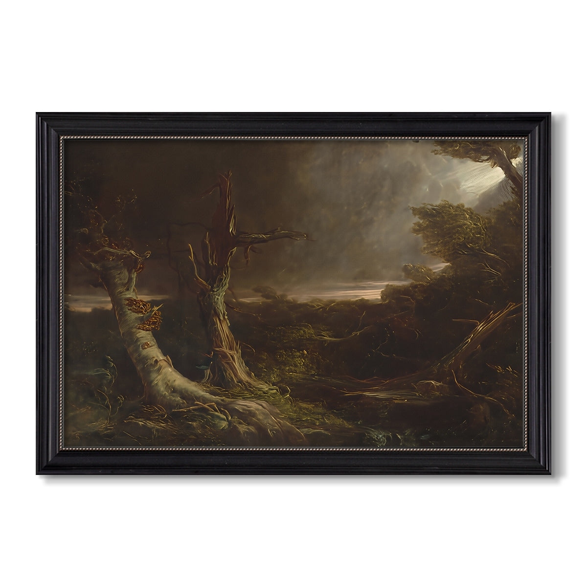 Tornado In An American Forest 1835 Thomas Cole Custom Framed Canvas