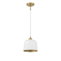 Trade Winds Nora 1 Light Pendant