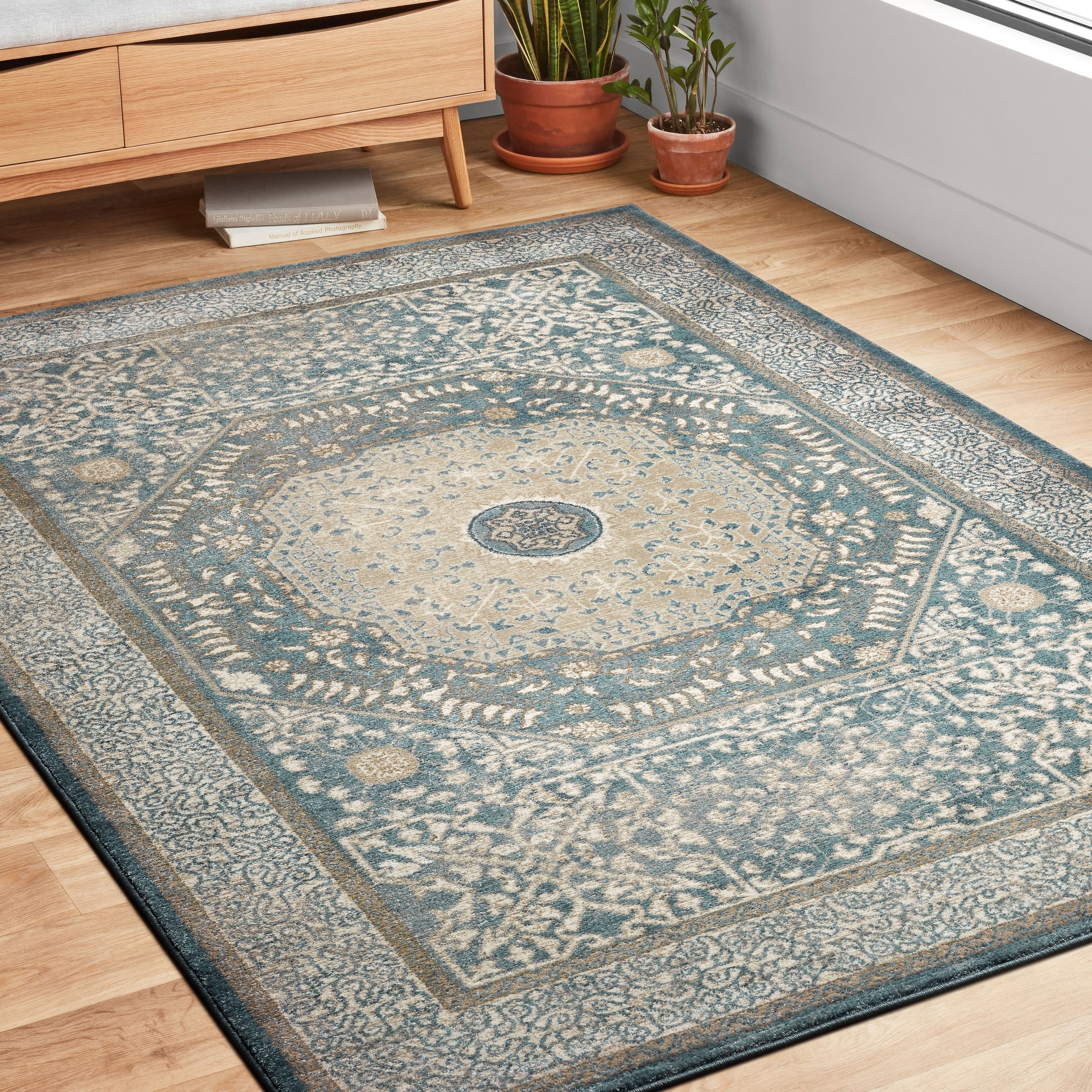 Traditional Blue Beige Medallion Border Rug 67 X 92