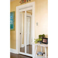 Traditional Unfinished Mirror Bi Fold Doors