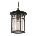 Trans Globe Lighting Avalon Single Light 11 Wide Outdoor Pendant With