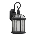 Transitional Black Clear Seeded Glass 1 Light Outdoor Fixture
