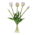Tulip Floral Bundle Set Of 2