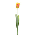 Tulip Floral Stem Set Of 6