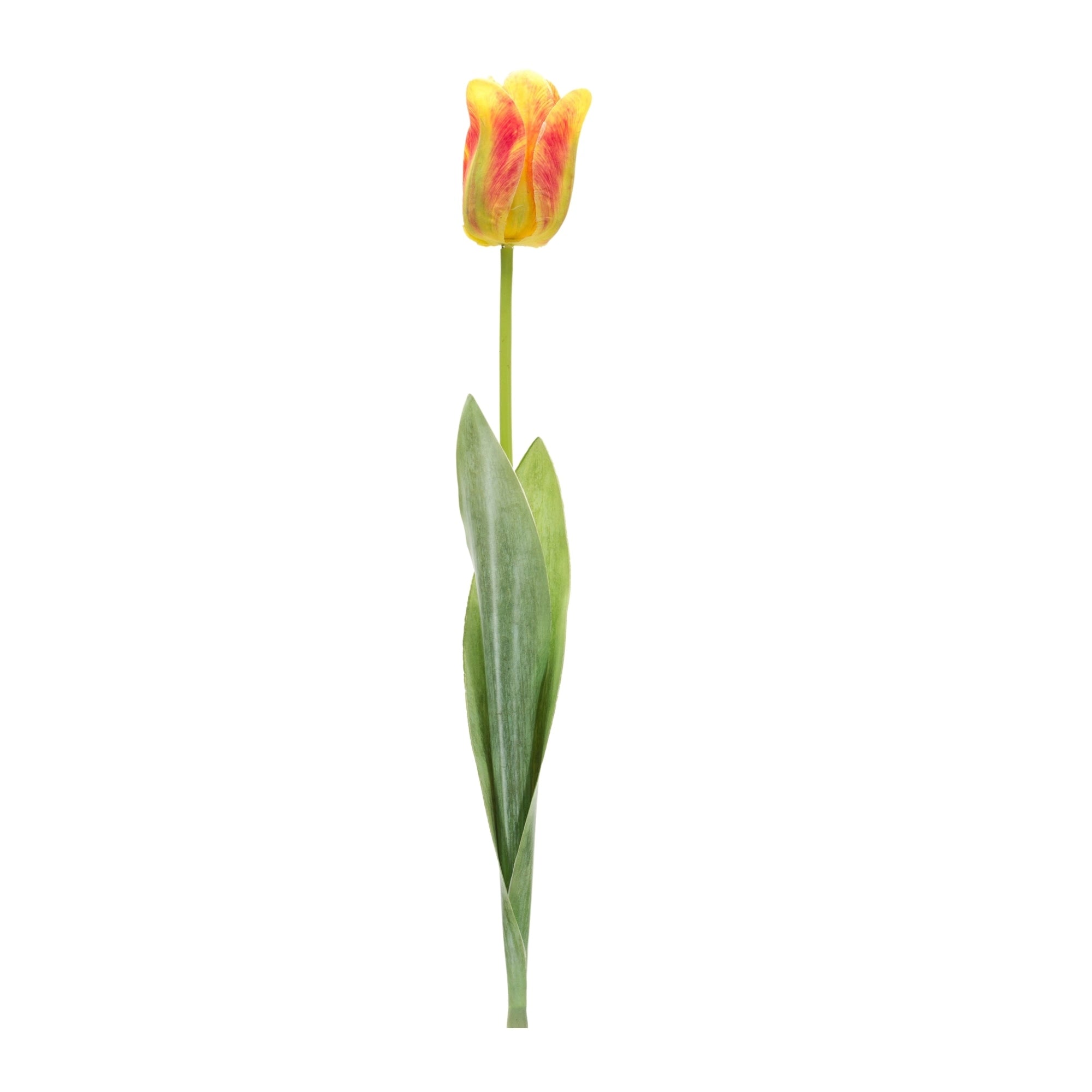 Tulip Floral Stem Set Of 6