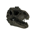 Tyrannosaurus Rex Dinosaur Head Fossil Statue Small 4 X 5.75 X 3 Inches
