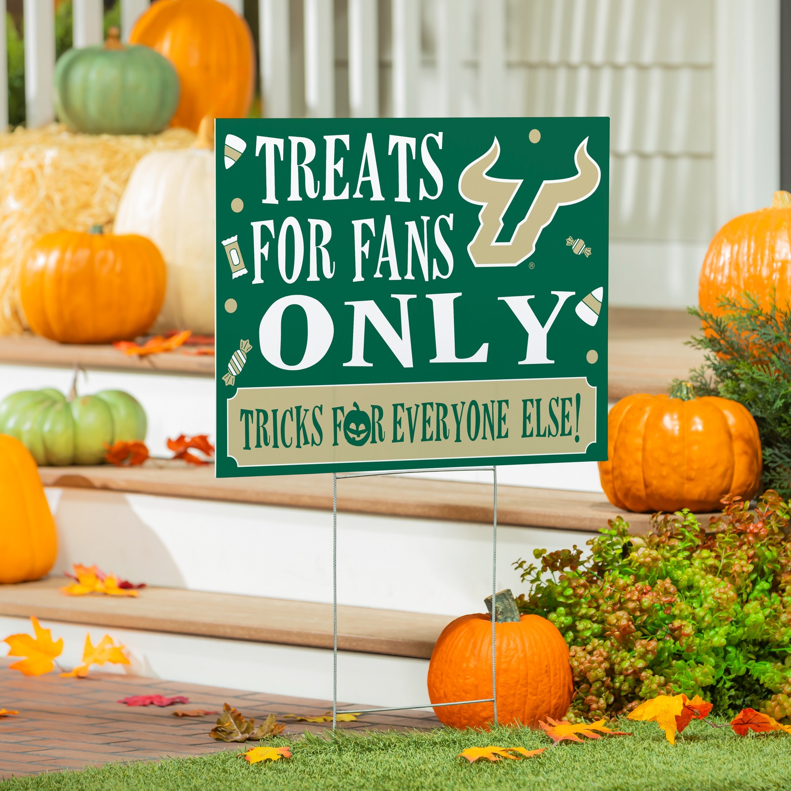 University Of South Florida Yard Sign Halloween Treats For Fans