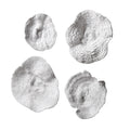 Uttermost 20170 Sea Coral Four Piece Wall Sculpture Set By Grace Feyock Antique White