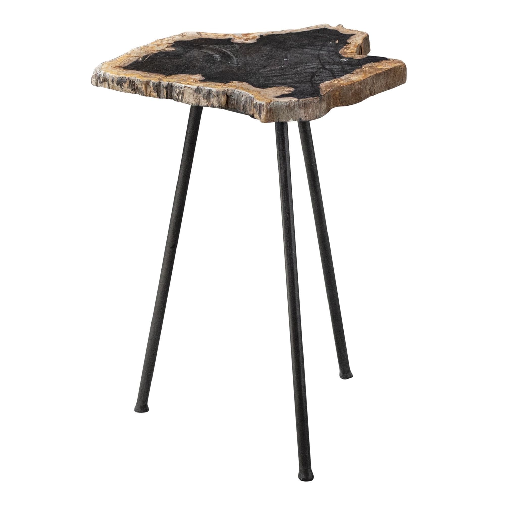 Uttermost 25461 Mircea 16 Wide Cross Section Petrified Wood Accent Black Natural