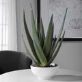 Uttermost 60177 Evarado 30 Tall Contemporary Aloe Vera Artificial. Gloss White