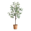 Uttermost 60241 Olea 67 Tall Olive Tree Artificial Plant In A Olive Terracotta