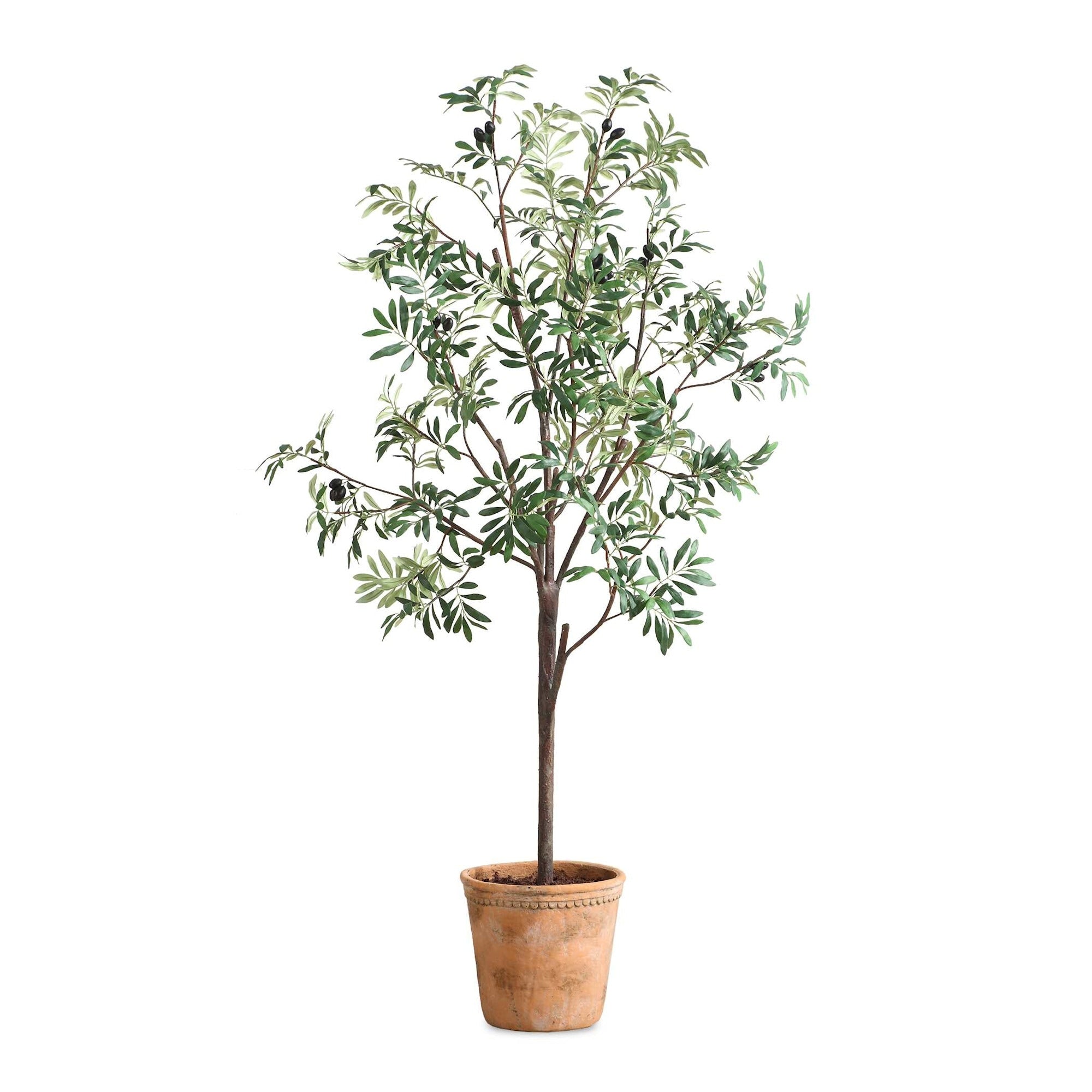 Uttermost 60241 Olea 67 Tall Olive Tree Artificial Plant In A Olive Terracotta